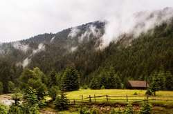 В Україну прийшла осінь: вночі вже буде до +6