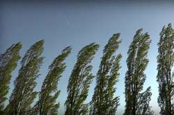 Синоптики попередили киян про потужний вітер