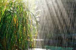 Синоптики рассказали, как будет вести себя погода на этой рабочей неделе