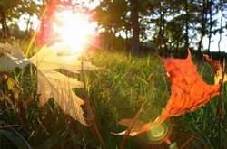 Синоптик розповіла, коли у Київ повернеться тепло