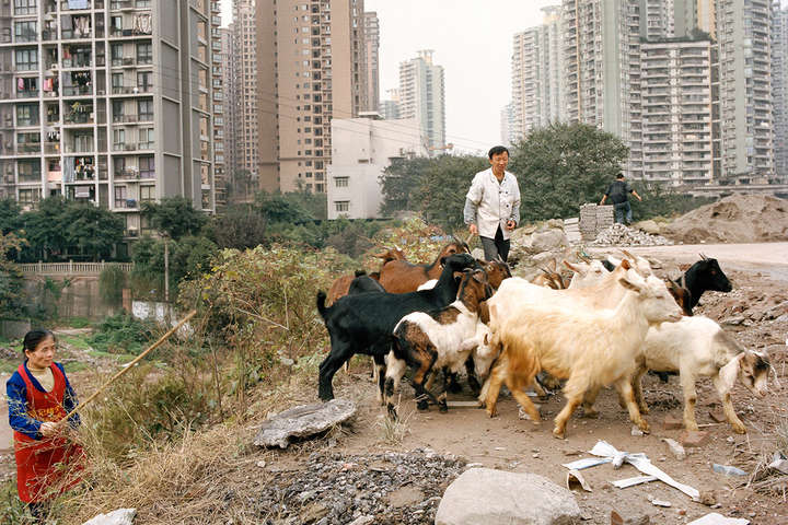 Як виглядають наслідки урбанізації в Китаї. Промовистий фотопроект