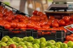 Сезон осінніх ярмарків у розпалі: де купити недорогу городину (адреси)