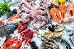 Ученые выяснили, что любители морепродуктов чаще занимаются любовью