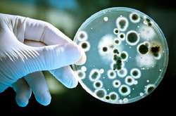 Киянин привіз із відпочинку лихоманку Західного Нілу