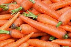 В Україні почали продавати білоруську моркву, бо власна – дуже дорога