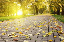 У Києві очікується невеликий дощ 