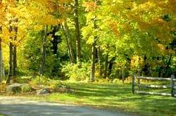 Погода на п'ятницю: тепло і без істотних опадів