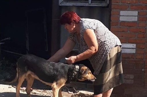 Неочікувана розв’язка у Бершаді: хазяйка, що знущалася над псом, вирішила залишити його собі