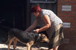 Неочікувана розв’язка у Бершаді: хазяйка, що знущалася над псом, вирішила залишити його собі