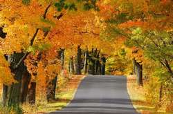 Якою буде погода у Києві цього тижня: прогноз синоптика