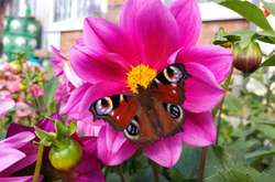 В Україні цього тижня знову потеплішає