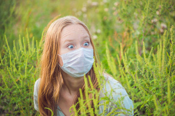 Аллергики, держитесь. В украинском воздухе все еще сохраняется значительная концентрация пыльцы амброзии