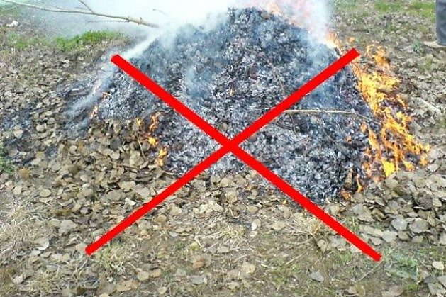 Столична влада погрожує штрафами за спалювання листя 