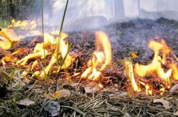 Киян попереджають про високий рівень пожежної небезпеки