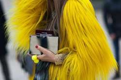 В Лос-Анджелесе запретят продавать и использовать мех