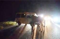 У темряві лось вибіг на трасу і спровокував ДТП