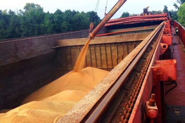«Укрзалізниця» похизувалася рекордними перевезеннями зернових цього року 