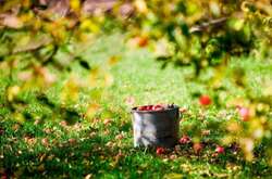 Українців чекає тепла п'ятниця без дощів