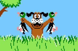 Детство прожито во лжи. Оказывается, в Duck Hunt всегда можно было играть за утку