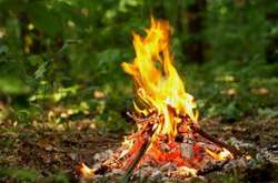 У п'ятницю у Києві збережеться високий рівень пожежної небезпеки