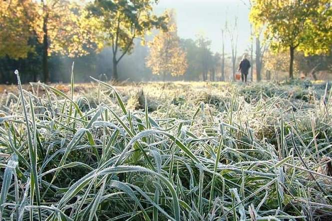 Синоптик попередила про перші заморозки в Україні 