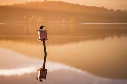 Красивые пейзажные фото Австралии, которые так и манят посетить эту необычную страну