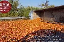 На трасі Київ-Харків перекинулася фура з яблуками