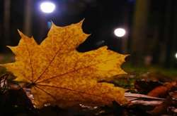 В Україну завітала справжня осінь – синоптики