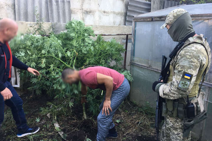 Зброю, наркотики та підроблені печатки виявили правоохоронці на Одещині