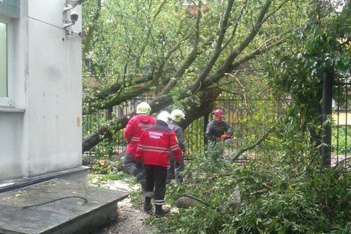 Негода у Києві: є перші повалені дерева (фото)