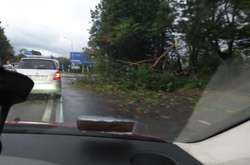 Негода наробила лиха у Львові (фото)