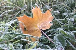 Укргидрометцентр сообщил, когда в страну придут первые заморозки