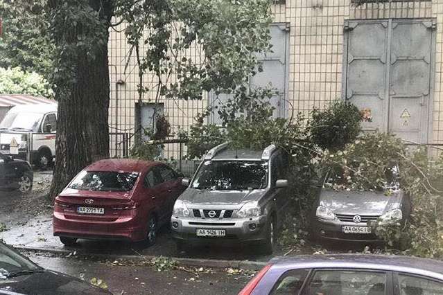 У Києві сильний вітер поламав дерева, пошкодивши автівки (фото)