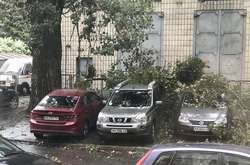 Гілки пошкодили автівки у Голосіївському районі