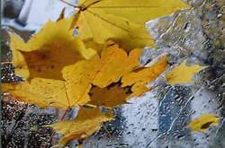 В Україні погіршиться погода 