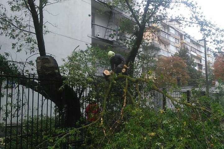 Зірвані покрівлі, повалені дерева: рятувальники розповіли про наслідки негоди у Києві