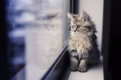 Прохладная погода в Украине продержится еще два дня