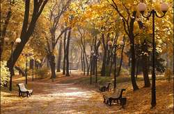 В Україні трохи потеплішає: прогноз погоди на 27 вересня