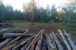 Радника харківського мера підозрюють у незаконному виділенні лісу під забудову