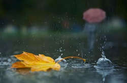 Північний циклон принесе в Київ похолодання та дощ