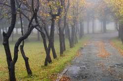 В Україну йде суттєве похолодання: прогноз погоди на 29 вересня