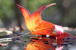 Синоптики попередили про різку зміну погоди 30 вересня