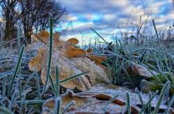 Рятувальники попередили українців про заморозки