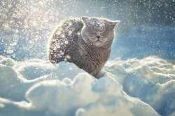 Синоптик розповів, коли в Україні випаде сніг