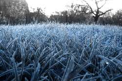 Над Україною завис антициклон: прогноз погоди на 1 жовтня