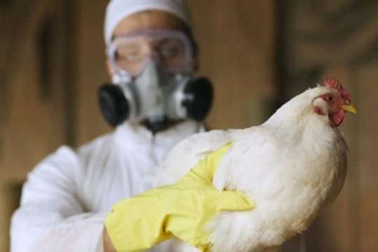 У Китаї чоловік захворів на пташиний грип