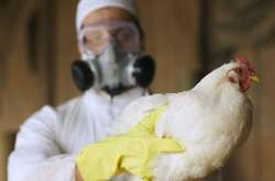 У Китаї чоловік захворів на пташиний грип