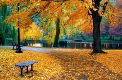 В Україні завтра трохи потеплішає