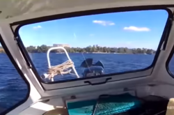 ЗМІ дізналися шокуючі подробиці про інцидент на катері у Запоріжжі