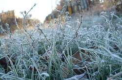 Вночі 5 жовтня очікуються заморозки на поверхні ґрунту 0-5 °C